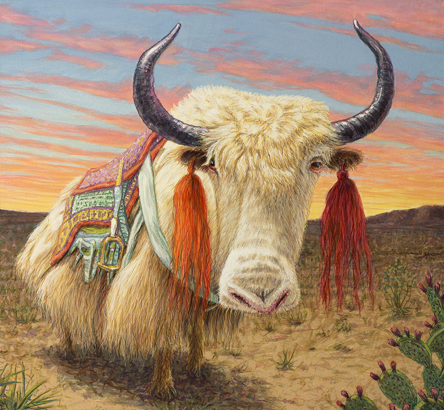 Yak in West Texas